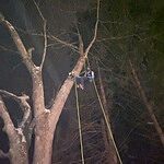 Image of Review by Ryan L. on 28 Jan 2025 number 1