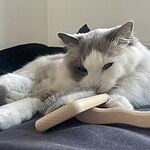 Image of Review by Stephanie S. on 29 Jan 2025 number 2