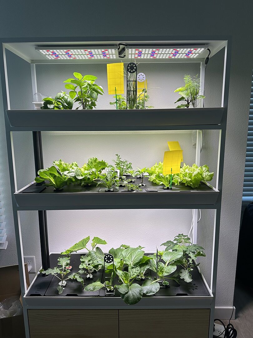 High Density Indoor Hydroponic Garden The Best Hydroponic System For