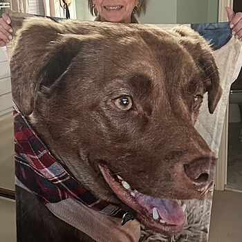 Photo of review by Nancy on Feb 4, 2025 #1