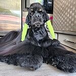Image of Review by ANITA'S C. on  4 Feb 2025 number 1