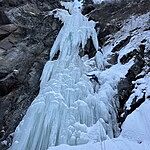 Image of Review by ひろき on  7 Feb 2025 number 1