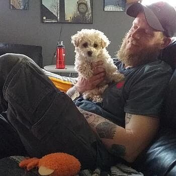 https://puppyspot.com/ Excellent communication with all the representativ...
