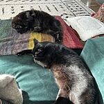 Image of Review by Margaret G. on 10 Feb 2025 number 2