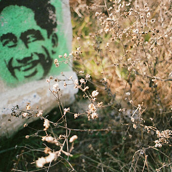 Photo of review by Brianna on Feb 15, 2025 #1