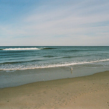 Photo of review by Brianna on Feb 15, 2025 #2