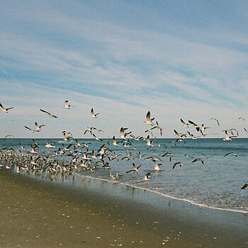 Photo of review by Brianna on Feb 15, 2025 #5