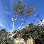 Image of Review by DYLAN L. on 16 Feb 2025 number 1