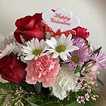 Assorted Roses