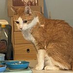 Image of Review by Lisa T. on 17 Feb 2025 number 1