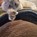 Image of Review by Julie F. on 20 Feb 2025 number 1
