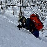 Image of Review by ishikorokoketa on 21 Feb 2025 number 1