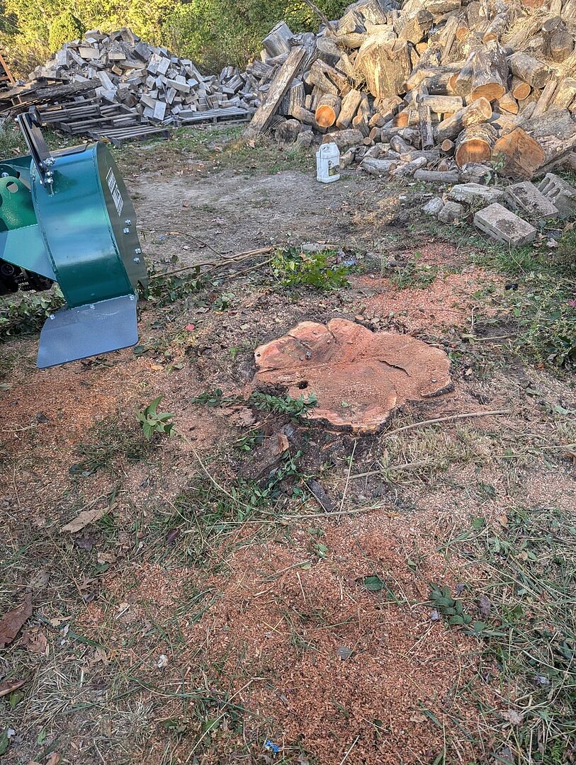 WG24 Stump Grinder photo 1