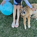 Image of Review by Jamie E. on  2 Mar 2025 number 1