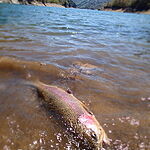 Image of Review by 丸山朝之 on  3 Mar 2025 number 1