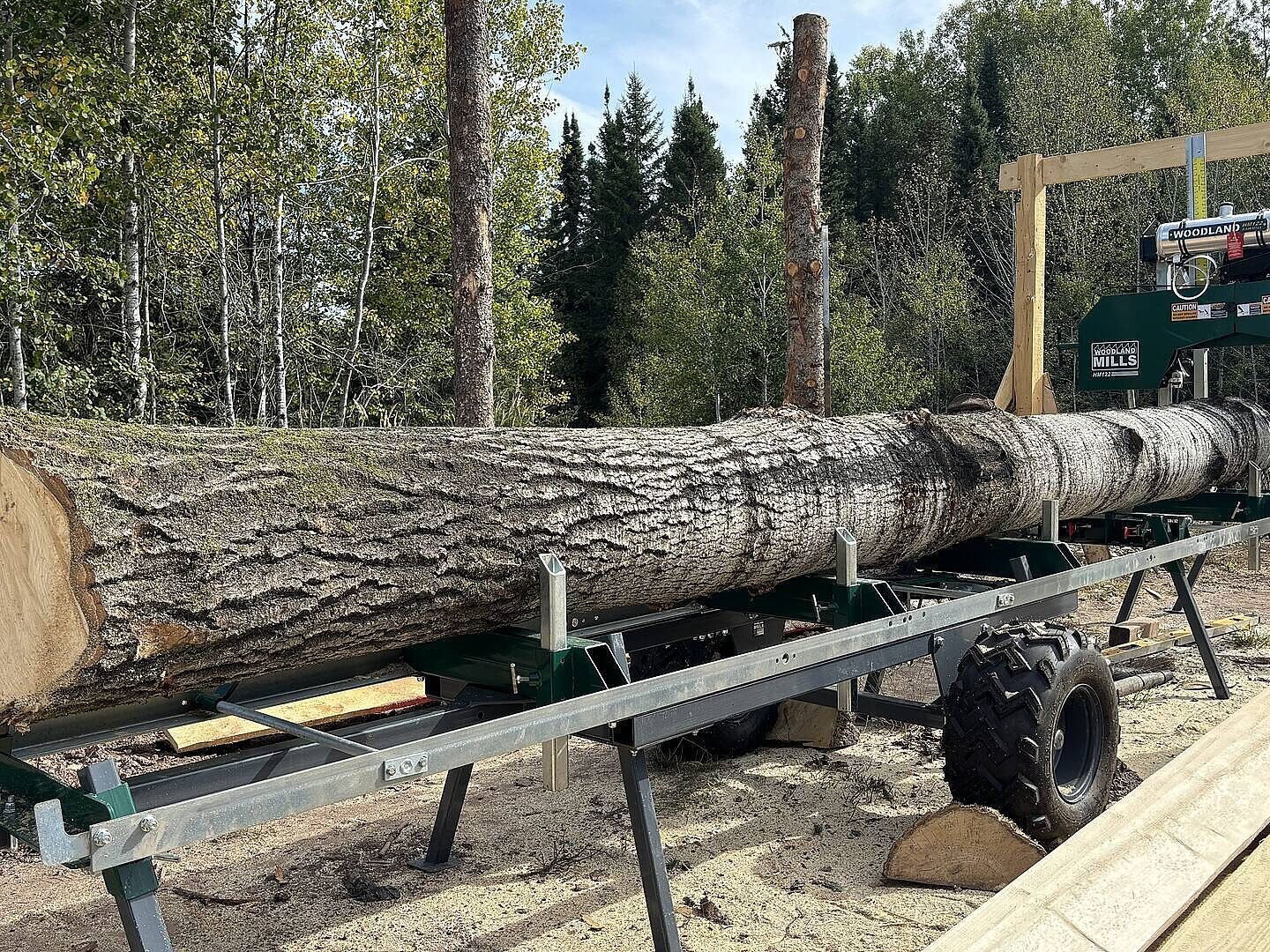 Best lumber cutting investment photo 4