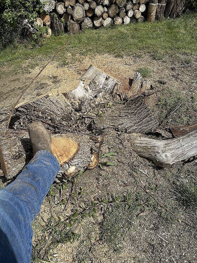 W24 stump grinder photo 1
