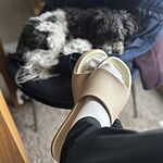 Image of Review by Megan T. on  3 Mar 2025 number 1