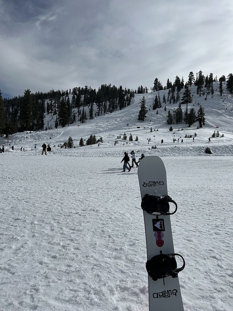 Men's Burton Free Thinker Camber Snowboard | Burton.com Winter 2022 US