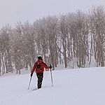 Image of Review by Lowell on 18 Mar 2025 number 1