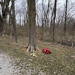 Image of Review by MIKE M. on 25 Mar 2025 number 1