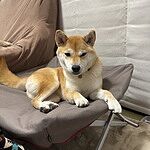 Image of Review by ご利用者様 on 27 Mar 2025 number 1