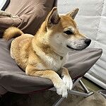 Image of Review by ご利用者様 on 27 Mar 2025 number 2