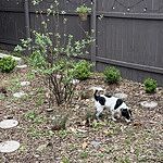 Image of Review by Karen C. on 28 Mar 2025 number 1