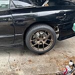 Image of Review by WILLIAM K. on 30 Mar 2025 number 1