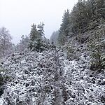Image of Review by Karen R. on 31 Mar 2025 number 1