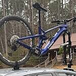 Image of Review by Joey on  1 Apr 2025 number 1