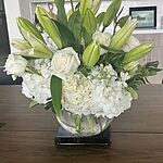 Image of Review by Elizabeth on  2 Apr 2025 number 1
