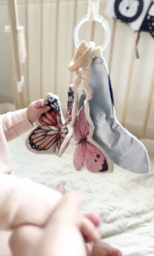 lachly butterfly mj infant