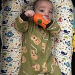 Image of Review by Gwen N. on  6 Apr 2025 number 1