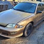 Image of Review by Robert R. on 12 Apr 2025 number 1