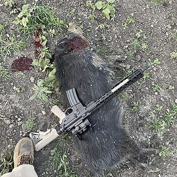 Radical Firearms 5.56 NATO M-Lok 16" 30rd Rifle, Black / Flat Dark Earth - RF01656