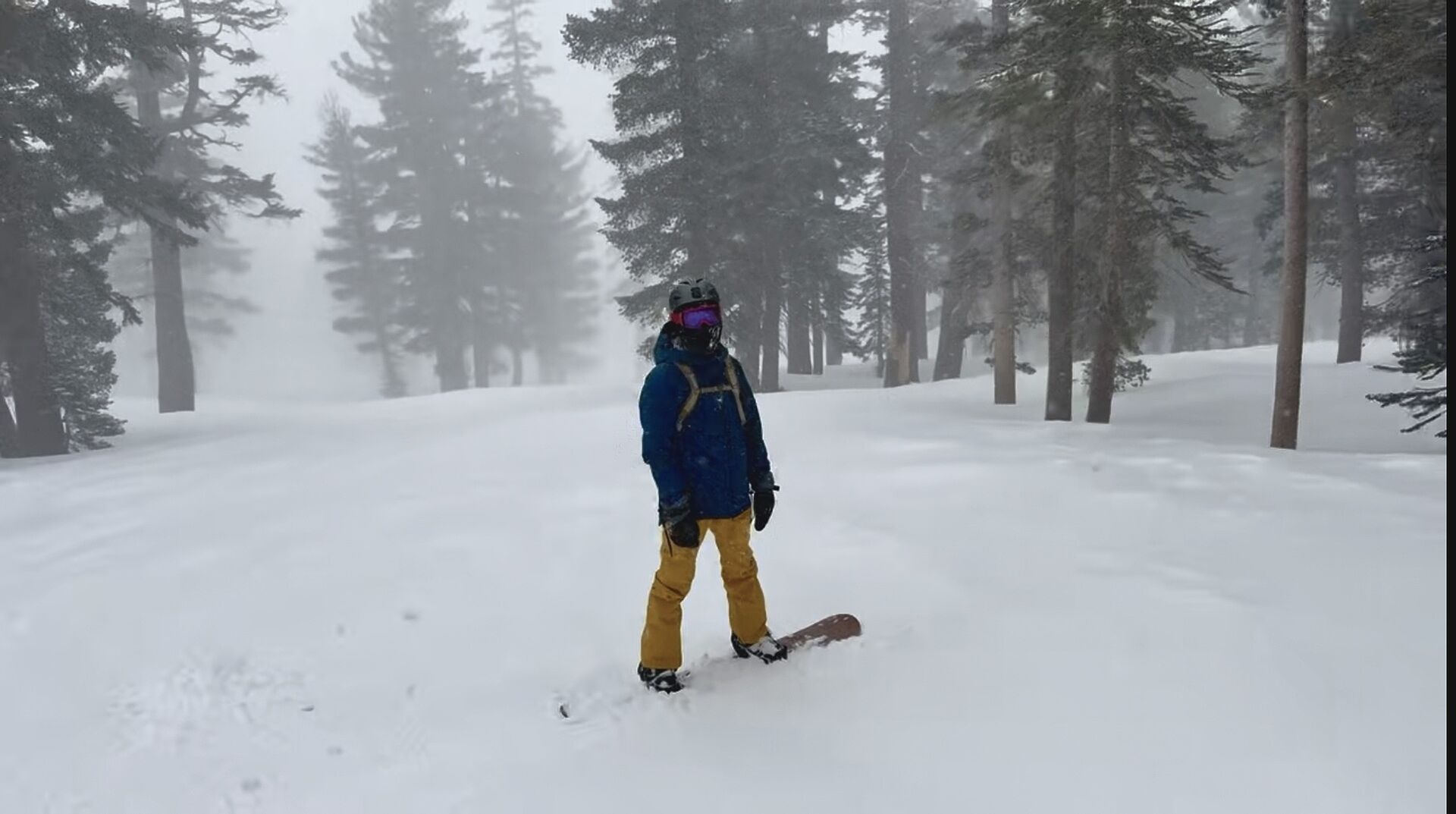 メンズ Burton バラスト GORE-TEX M size Men's Burton Ballast GORE‑TEX 2L Pants | Burton.com Winter