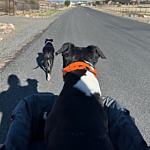 Image of Review by amy T. on 25 Apr 2025 number 1