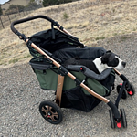 Image of Review by amy T. on 25 Apr 2025 number 2