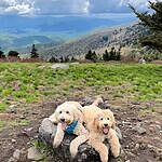 Image of Review by Mikael G. on 27 Mar 2025 number 1