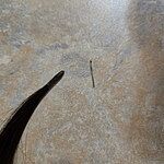 Image of Review by Tammy A. on 27 Apr 2025 number 2