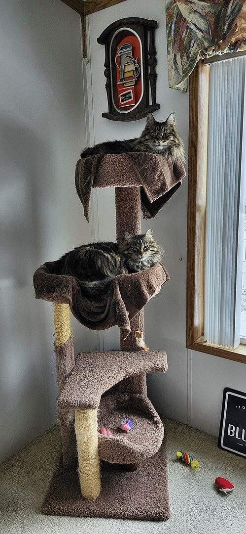 Catalyst Pet customer photo shared by Steven M.