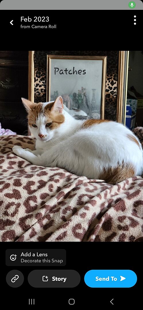 Catalyst Pet customer photo shared by Betsy S.