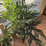 Image of Review by Jeremy W. on 30 Apr 2025 number 1