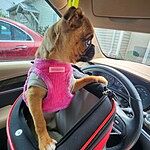 Image of Review by Sandy F. on  2 May 2025 number 2