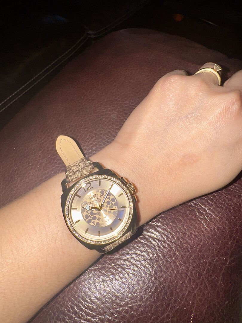 Coach Boyfriend Women display picture 1