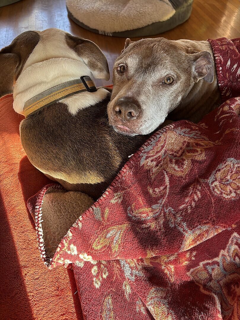 SNORING… BYE BYE BYE