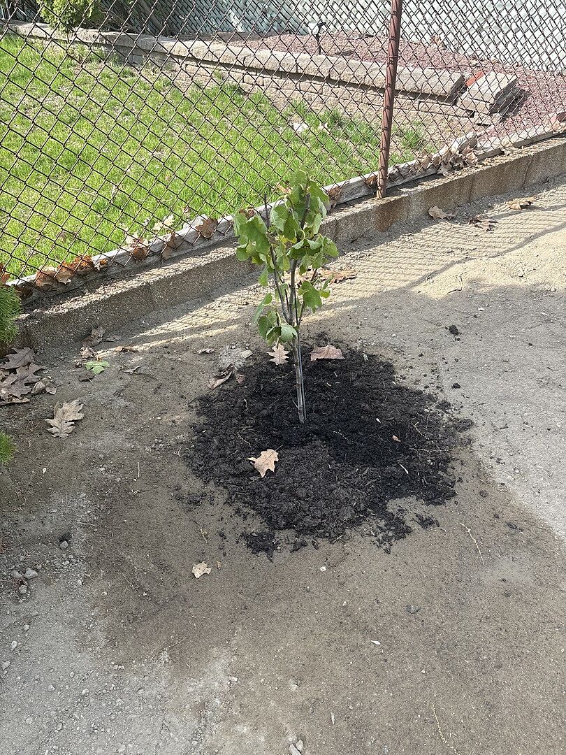 Keep growing