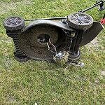 Image of Review by Raul M. on  8 May 2025 number 1