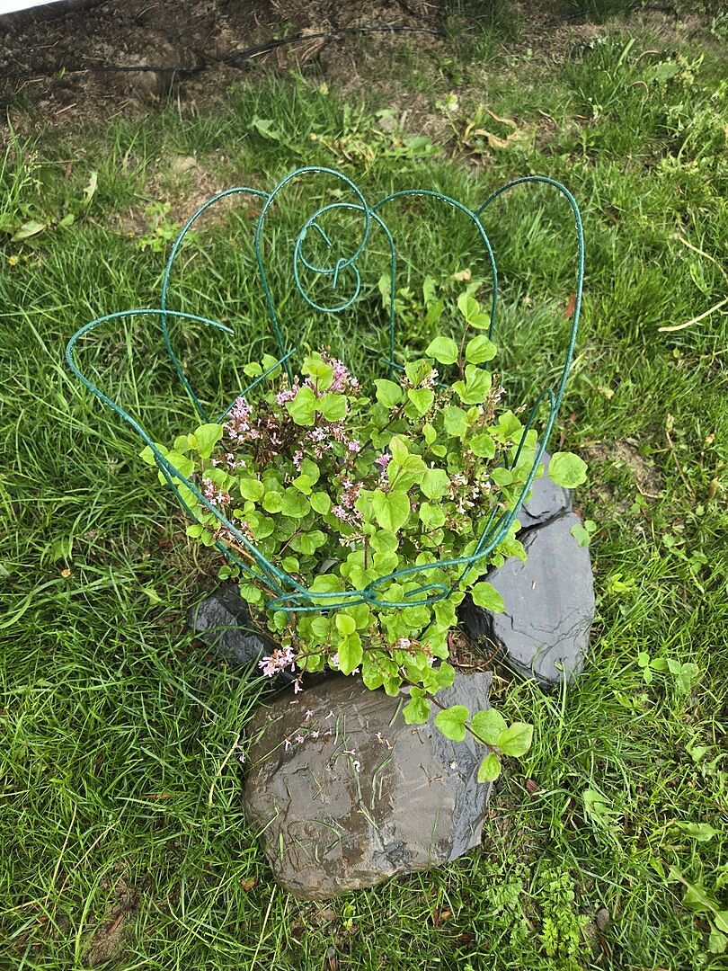 It arrived full with flowers